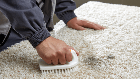 Professional Rug Cleaning Eureka